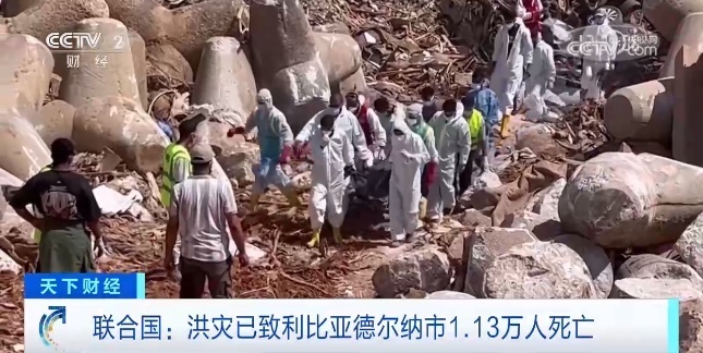 水果森林老虎机说明书